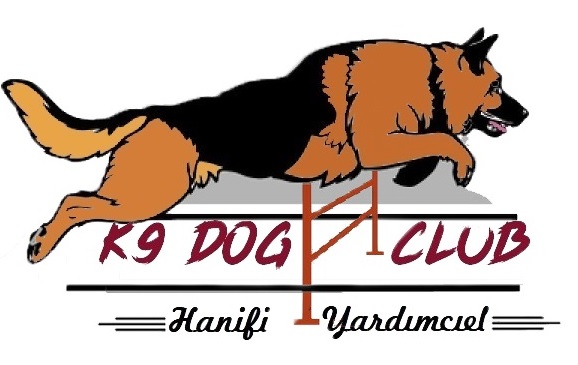 K9 Dog Club