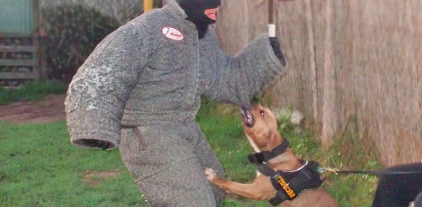 Bodyguard Eğitimi