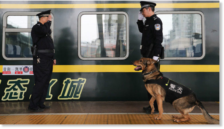 Köpek eğitimi Fiyatları